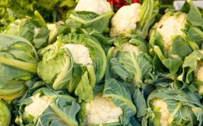 ফুলকপি খেয়ে ওজন কমান : সহজ এবং কার্যকর উপায়