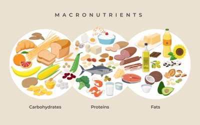 Which Weight Loss Program is Most Effective? Discover the Best!